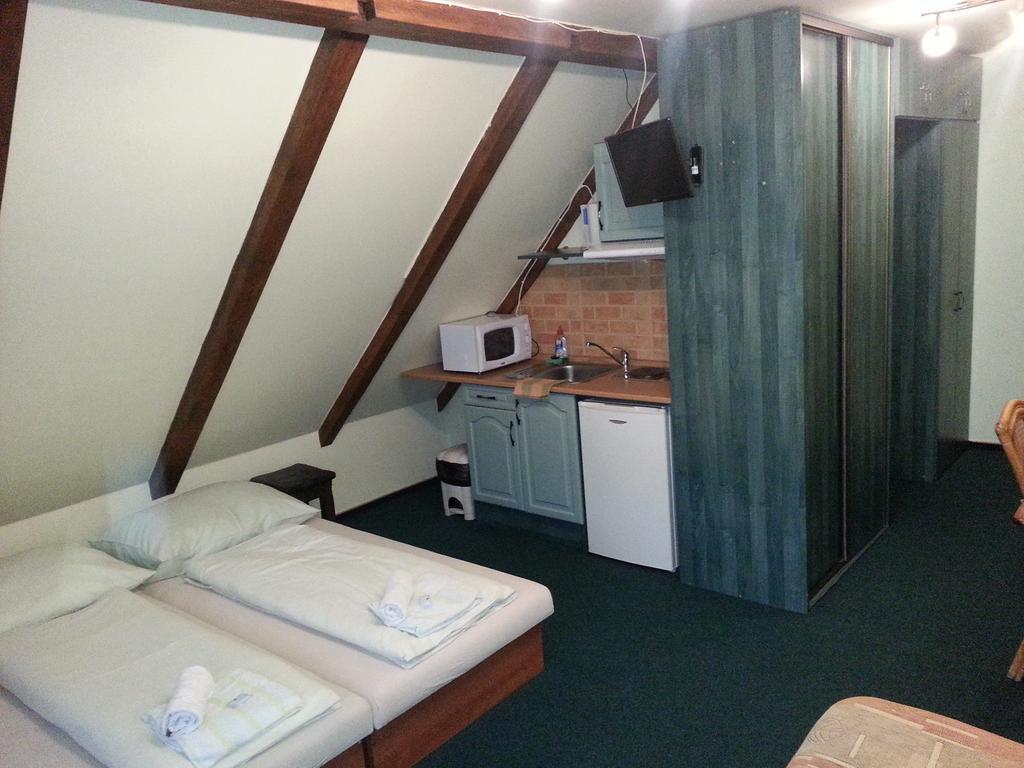 Pension Roky Rokytnice nad Jizerou Buitenkant foto