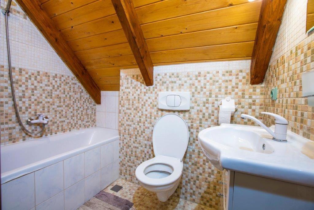 Pension Roky Rokytnice nad Jizerou Buitenkant foto